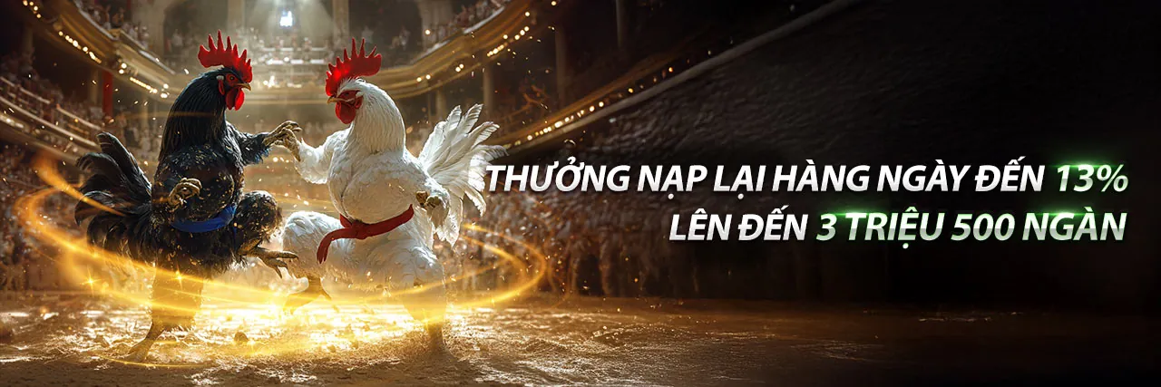 Tải ứng dụng mv666 khuyến mãi