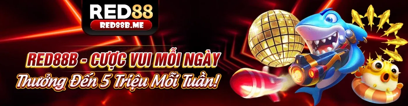 Tin tức và khuyến mãi mv666 2026