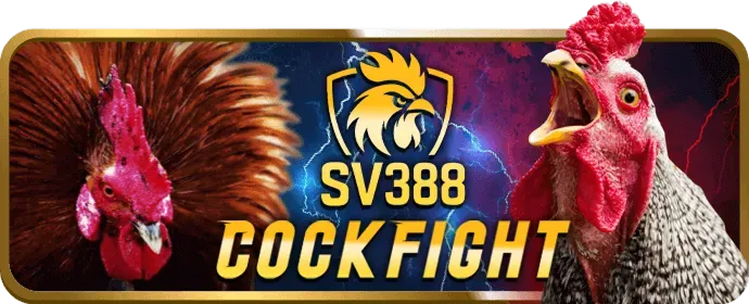 Thưởng nạp MV666 hàng ngày